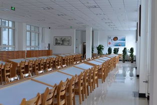 去圖書館的注意事項,圖書館注意事項警示語,圖書館借書注意事項