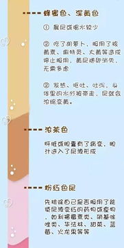 尿液,樣本,注意事項(xiàng),收集