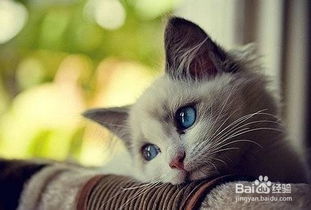 拔牙,注意事項(xiàng)