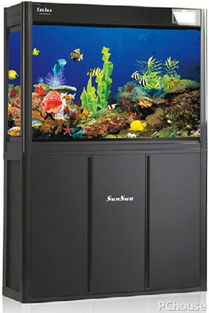 龍魚缸下黃粉注意事項,魚缸養(yǎng)魚注意事項,魚缸放維生素c注意事項