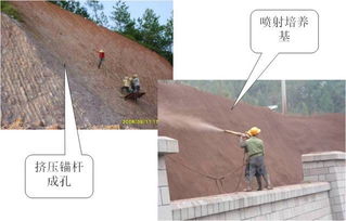 冬季路基施工注意事項,石灰土路基施工注意事項,雨季土方施工注意事項