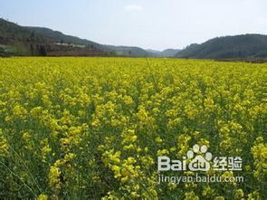 痹癥的飲食注意事項