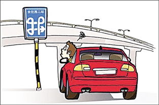 駕車(chē),出游,注意事項(xiàng)