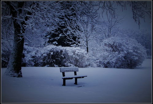 暴風(fēng)雪,注意事項(xiàng)