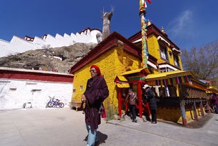 去拉薩旅游注意事項(xiàng),拉薩旅游身體注意事項(xiàng),冬天拉薩旅游注意事項(xiàng)
