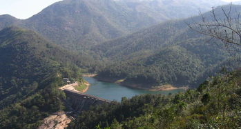 黃楊山游玩注意事項