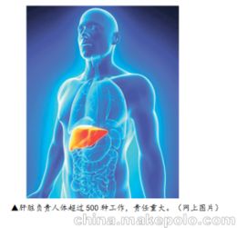 疲勞期需要注意事項(xiàng)