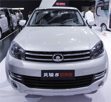 注意事項(xiàng),風(fēng)駿