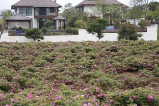 云南,游覽,注意事項