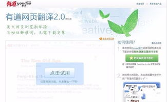 網(wǎng)頁(yè)翻譯注意事項(xiàng),翻譯合同的注意事項(xiàng),文言文翻譯注意事項(xiàng)