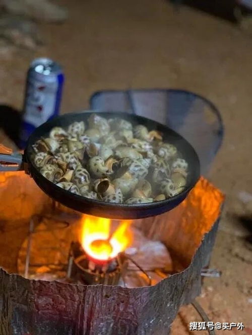 戶外野炊的技巧和注意事項