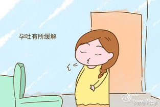 試管懷孕停藥后注意事項(xiàng),胎停過一次下次懷孕注意事項(xiàng),懷孕在家養(yǎng)胎注意事項(xiàng)