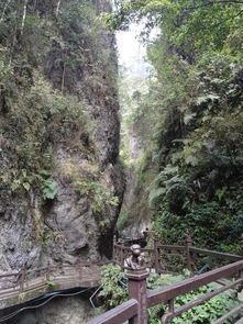 峨眉山金頂旅游注意事項(xiàng),冬季峨眉山旅游注意事項(xiàng),峨眉山游玩注意事項(xiàng)