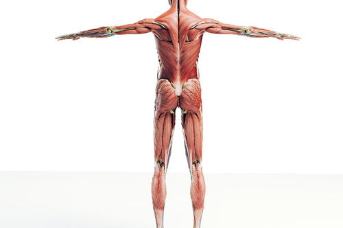 兒童肌肉注射注意事項(xiàng)