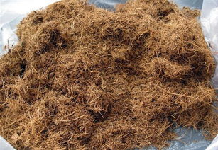 注意事項,矮壯素