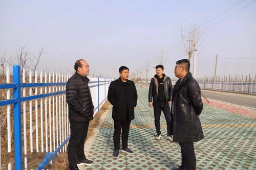 建冬棗大棚注意事項(xiàng)