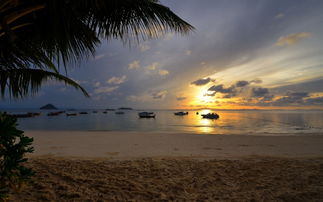 2014普吉島旅游注意事項