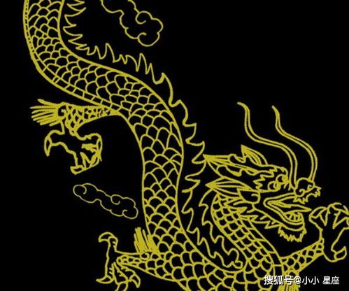 開大,注意事項(xiàng),金龍