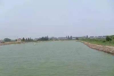 魚塘換水注意事項(xiàng)