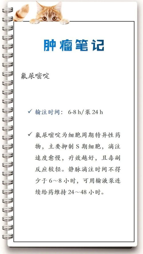 氟尿嘧啶使用時(shí)注意事項(xiàng)