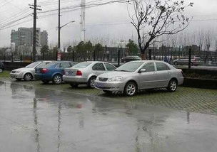 大風(fēng),注意事項,停車,天氣