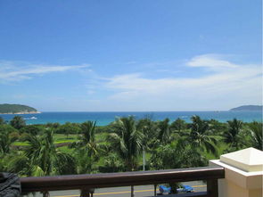 注意事項(xiàng),自由