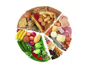 移植,注意事項,手術,飲食