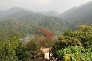 旅游注意事項(xiàng)須知,青海旅游注意事項(xiàng),旅游安全注意事項(xiàng)