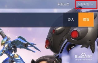 先鋒,守望,注意事項