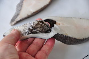 做比目魚的注意事項