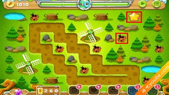 保衛(wèi),蘿卜,注意事項(xiàng)