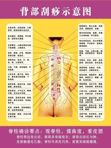 背部刮痧后的注意事項和禁忌,背部刮痧注意事項和禁忌癥,做完背部刮痧注意事項