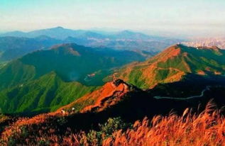 梧桐山過夜注意事項(xiàng)