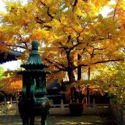 去紅螺寺求姻緣要注意事項(xiàng)