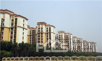 套房,注意事項(xiàng),全款