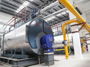 鍋爐四管更換注意事項(xiàng)