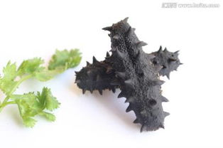 海參,注意事項(xiàng)