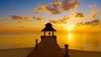 木板車引發(fā)的真愛