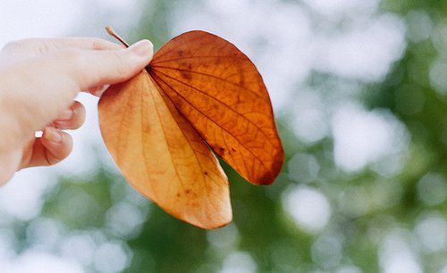 堅(jiān)信有人在愛著我們