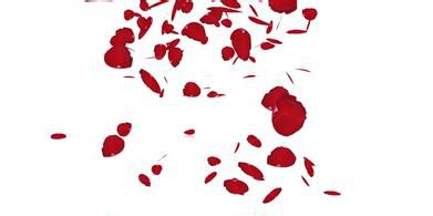 花瓣，在春風(fēng)中飄落（二）