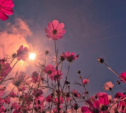 放手，給你愛的藍天