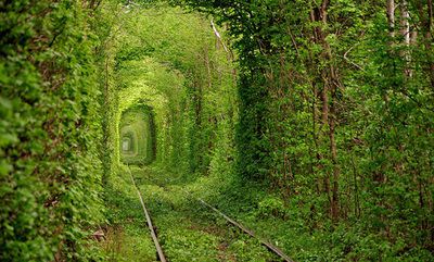 別言，人生若只如初見