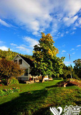 七十年的愛情，一輩子的遺憾