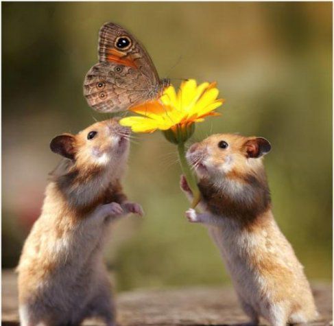 渺小而又偉大的愛情