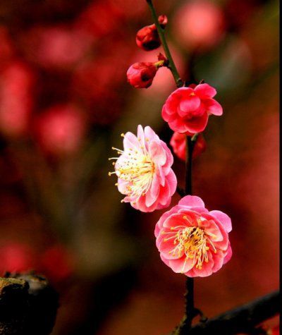 離開你的世界，忘了我的存在