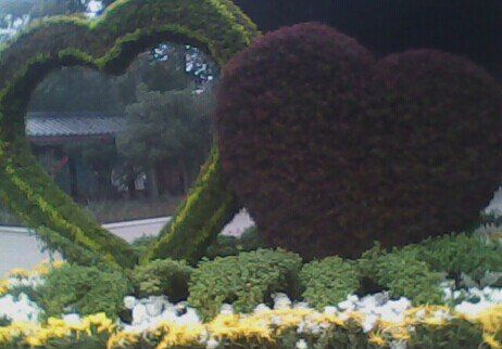 前男友，請別在原地等我了