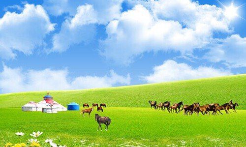 我是騎者，策馬向愛(ài)