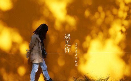 在最美的時(shí)光里遇見(jiàn)你