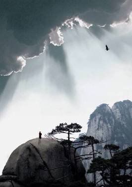 葉子的離開(kāi)，并不是風(fēng)的追求，更不是樹(shù)的不挽