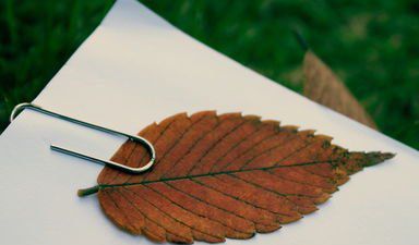 時光終于泄了密